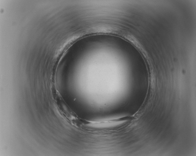 X0000055520434200509022128