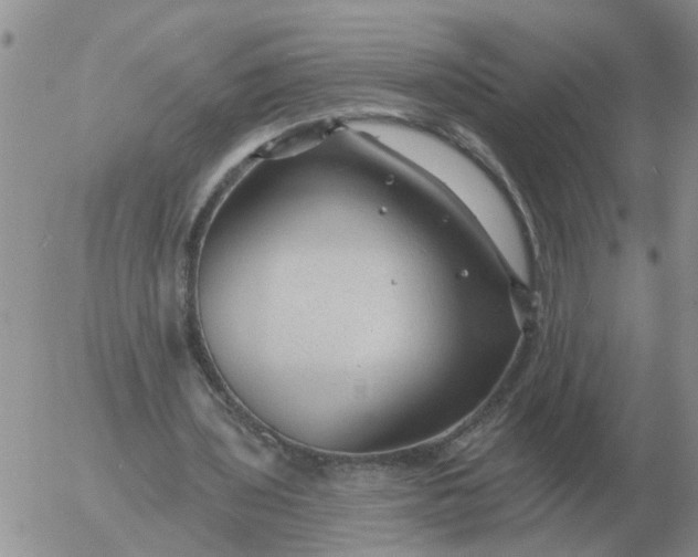 X0000055520435200509022128