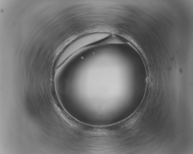 X0000055520437200509022128