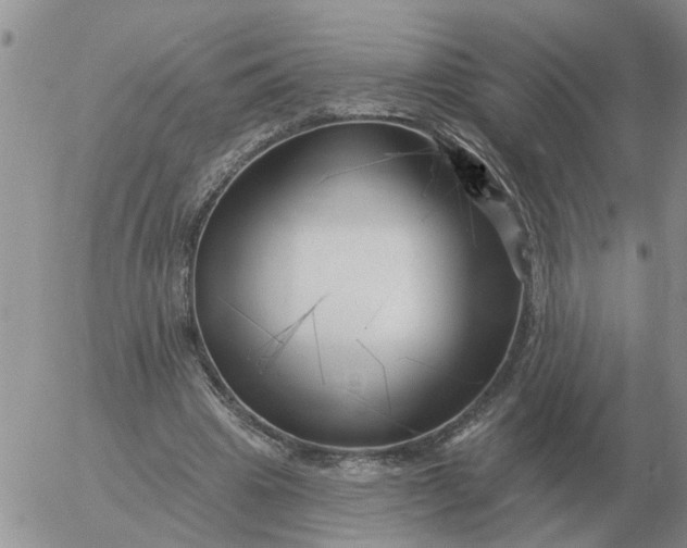 X0000055520441200509022128