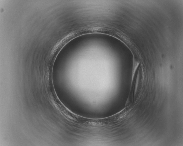 X0000055520442200509022128