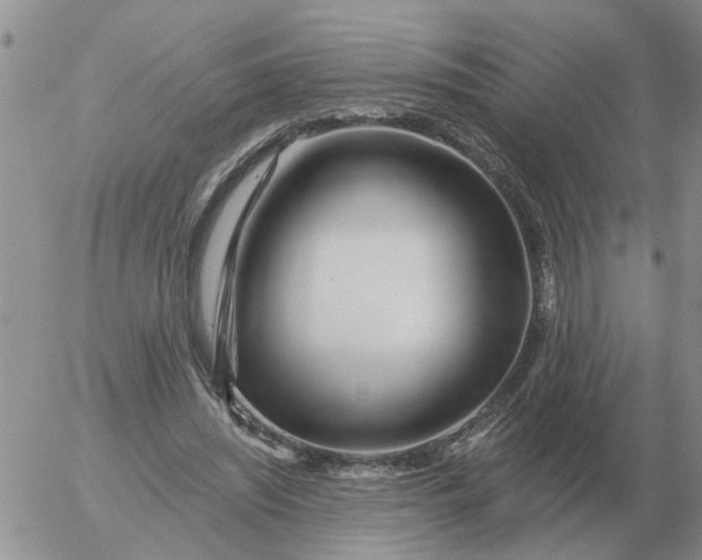 X0000055520444200509022128