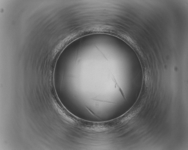 X0000055520445200509022128