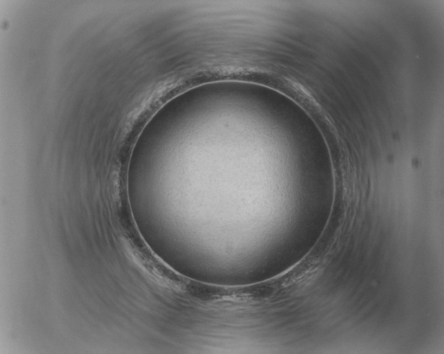 X0000055520447200509022128