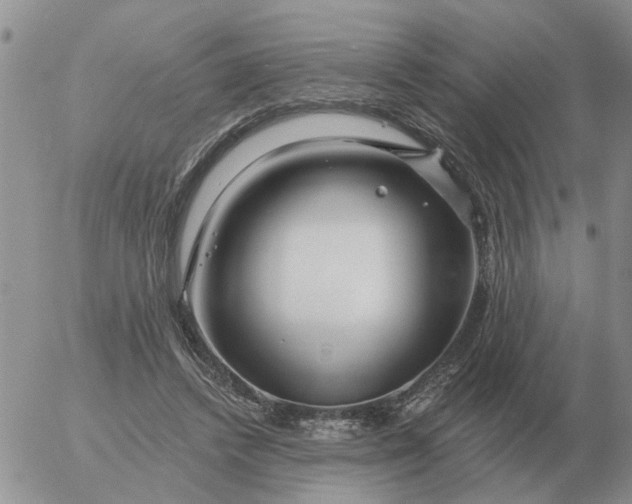 X0000055520448200509022128