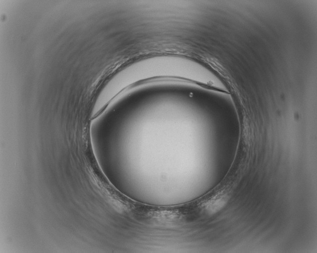 X0000055520449200509022128