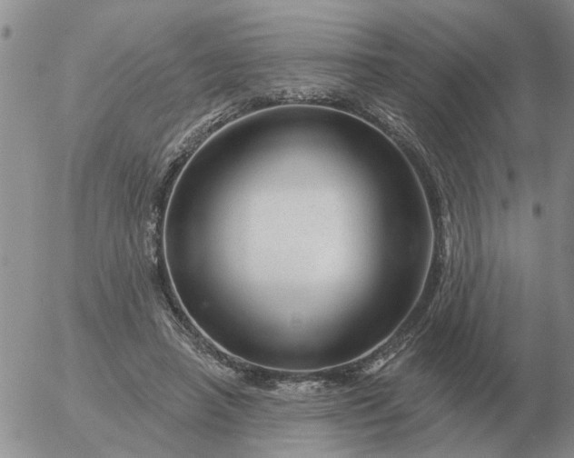 X0000055520450200509022128