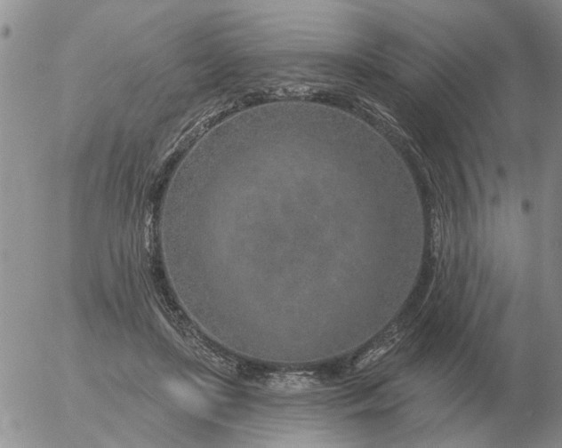 X0000055520451200509022128