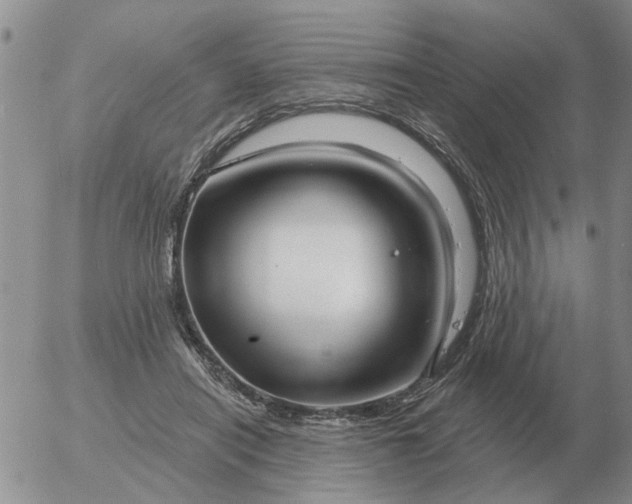 X0000055520454200509022128