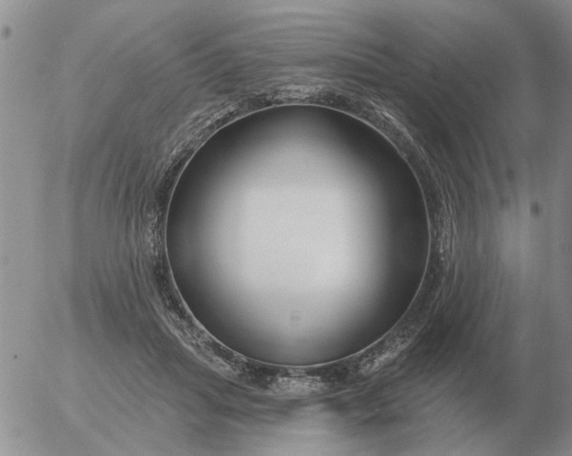 X0000055520455200509022128