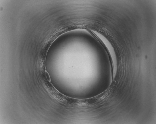 X0000055520456200509022128