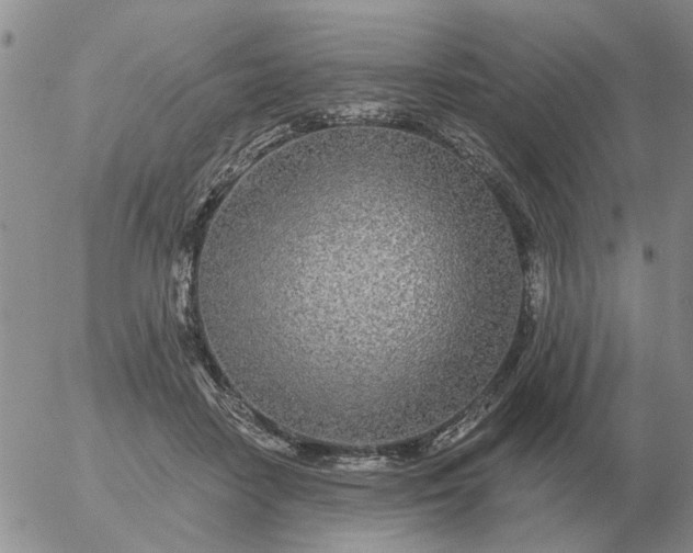 X0000055520458200509022128