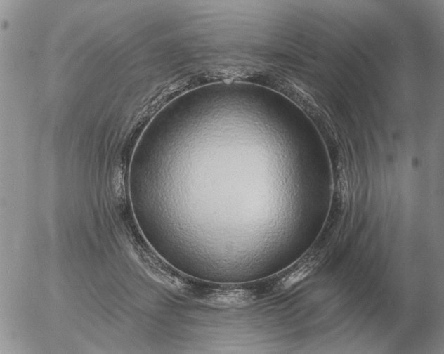 X0000055520459200509022128