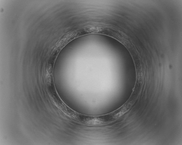 X0000055520460200509022128