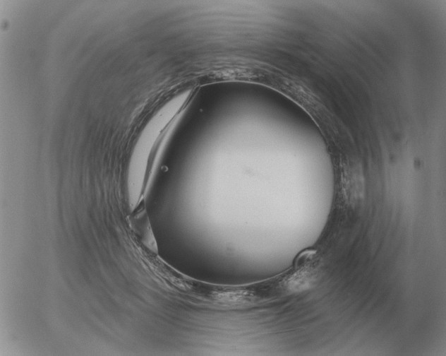 X0000055520461200509022128