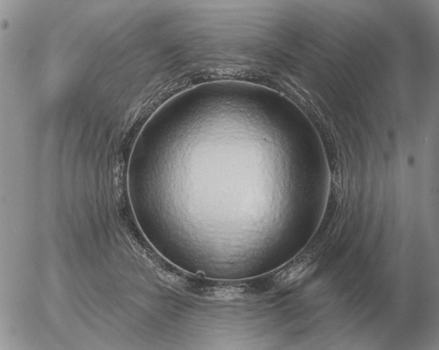 X0000055520462200509022128