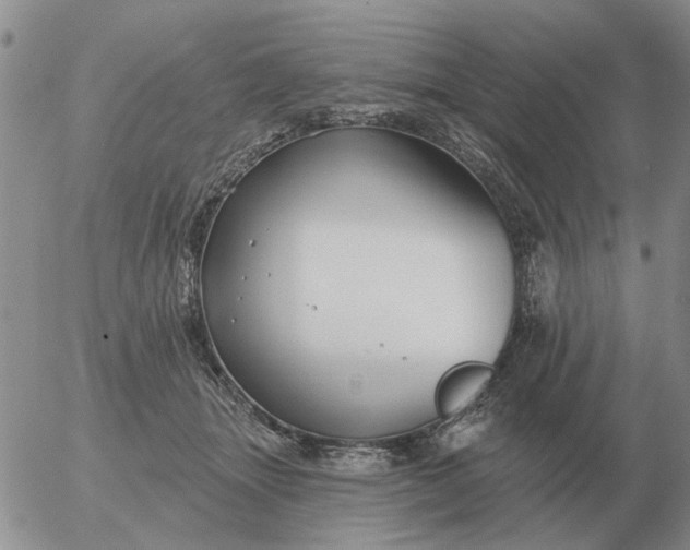 X0000055520463200509022128