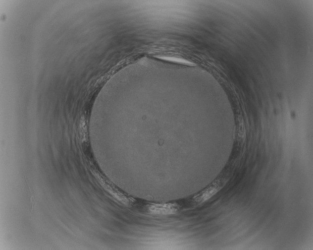 X0000055520465200509022128