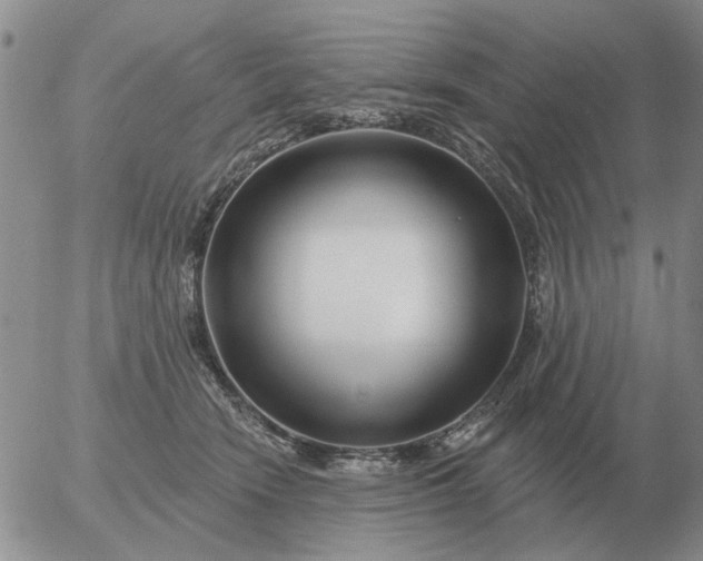 X0000055520466200509022128