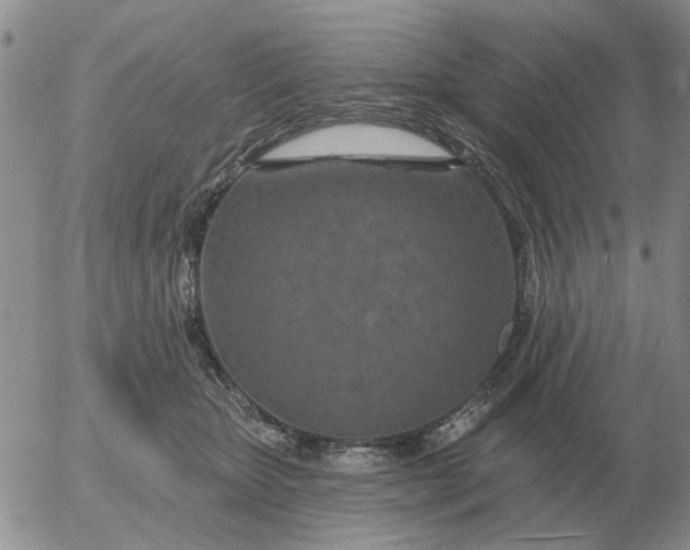 X0000055520467200509022128