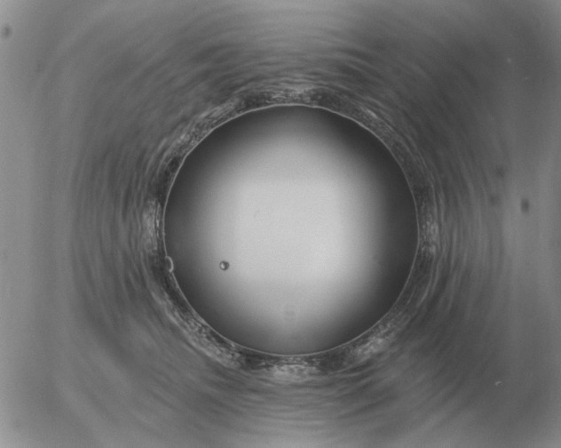 X0000055520468200509022128