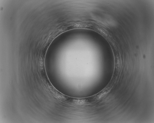 X0000055520469200509022128