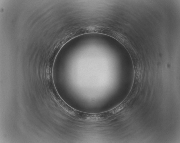 X0000055520470200509022128