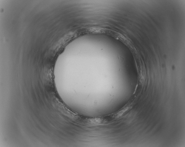 X0000055520473200509022128