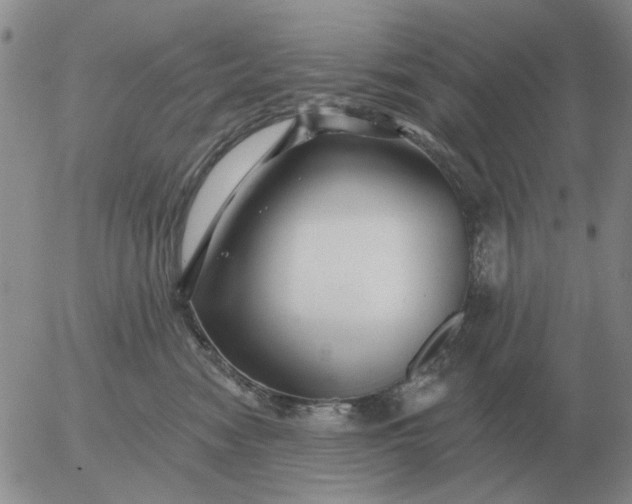 X0000055520474200509022128