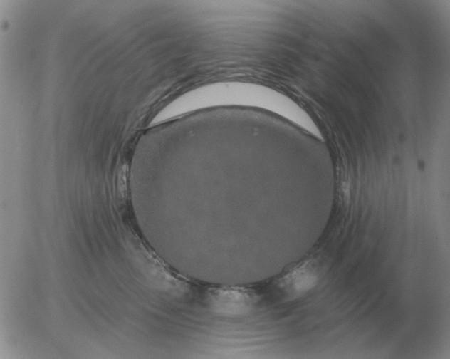 X0000055520475200509022128