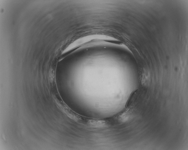 X0000055520476200509022128