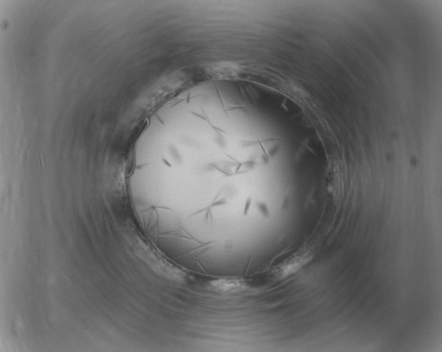 X0000055520477200509022128