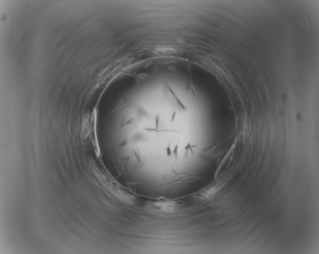 X0000055520478200509022128