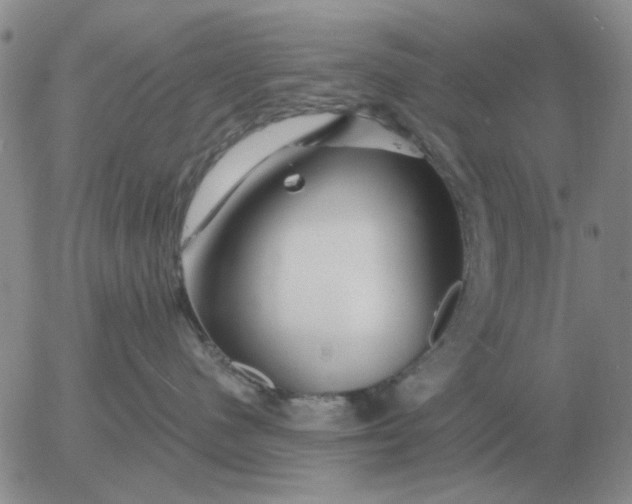 X0000055520480200509022128