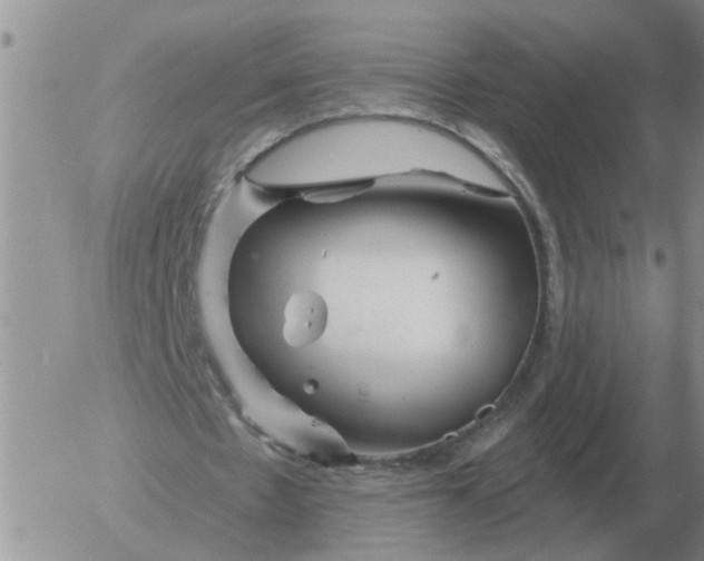 X0000055520481200509022128