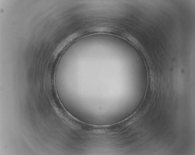 X0000055520482200509022127