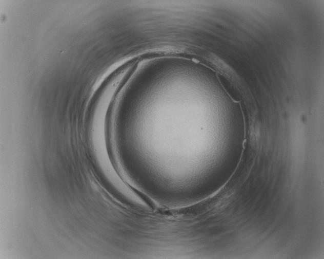 X0000055520484200509022127