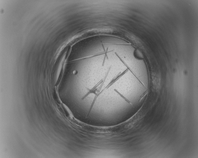 X0000055520487200509022127