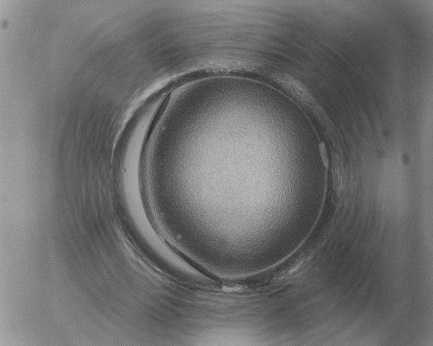 X0000055520488200509022127