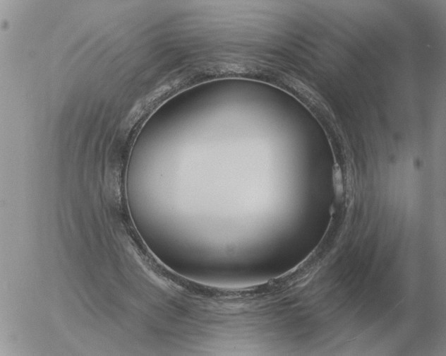 X0000055520489200509022127