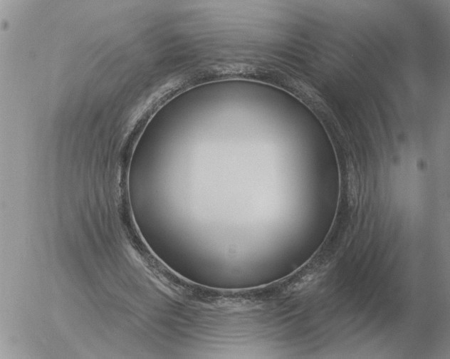 X0000055520490200509022127