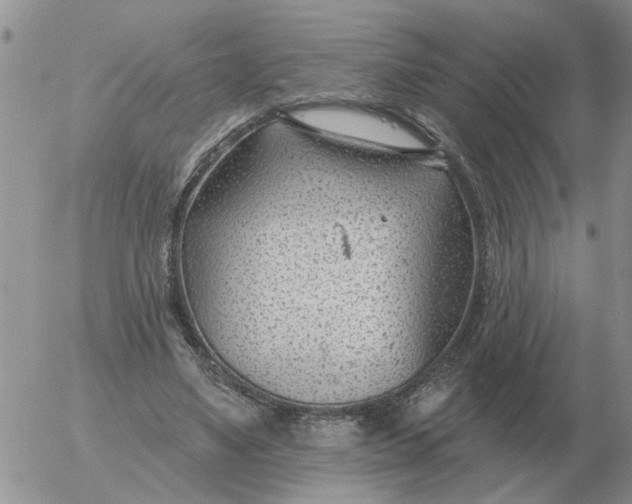 X0000055520491200509022127