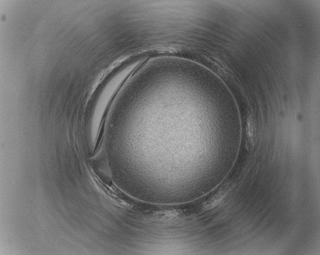 X0000055520492200509022127