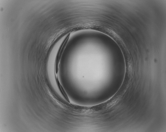 X0000055520493200509022127