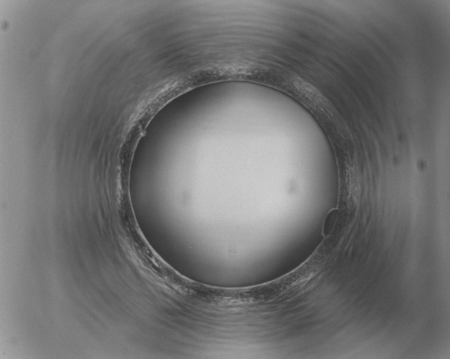 X0000055520494200509022127