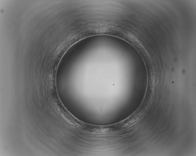 X0000055520497200509022127