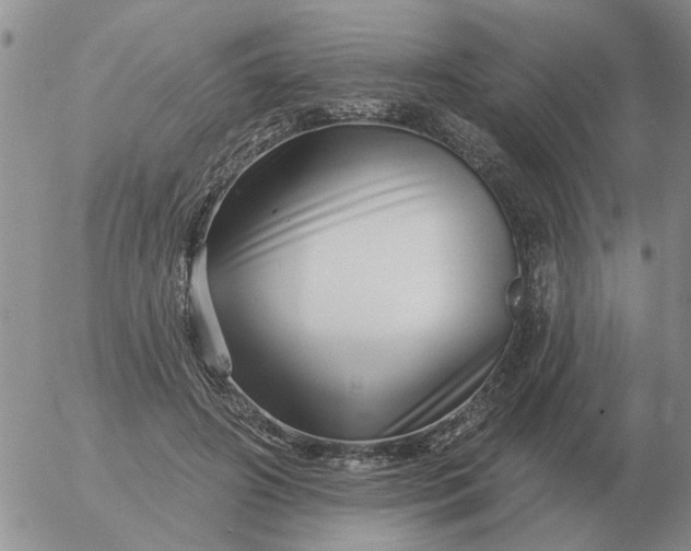 X0000055520498200509022127