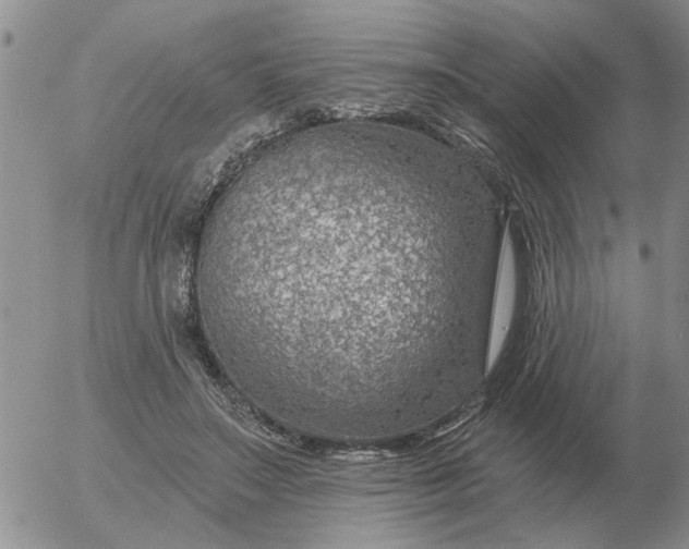 X0000055520499200509022127