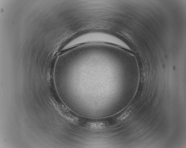 X0000055520500200509022127