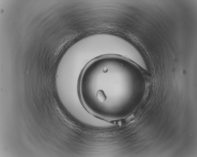 X0000055520501200509022127